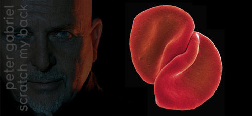 gabriel_scratchmb_header2