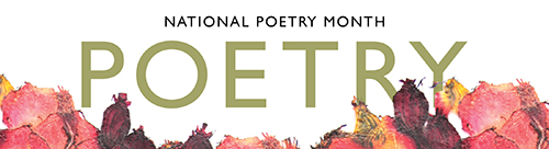 poetry-NPM-banner2